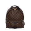 Louis Vuitton Noir Monogram Canvas Palm Springs MM Backpack - Blue Spinach