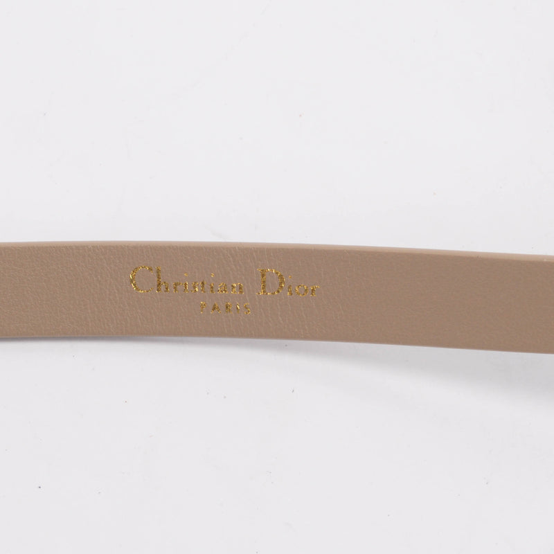 Dior Taupe Calfskin Caro Belt With Pods Pouch - Blue Spinach